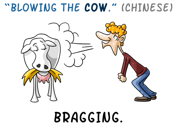 blowing the cow